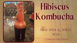 Make Hibiscus Kombucha for a Fizzy & Healthy Delight by Sharise Parviz, Legacy Igniter
