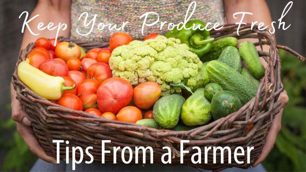 Keep Your Produce Fresh: Tips From a Farmer by Sharise Parviz, Legacy Igniter